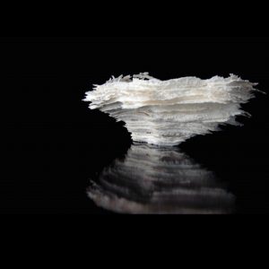 Artist Spotlight Cheryl Wilson Smith